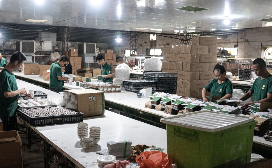 Ceramic Dinnerware Factory Pre-Packaging Inspection